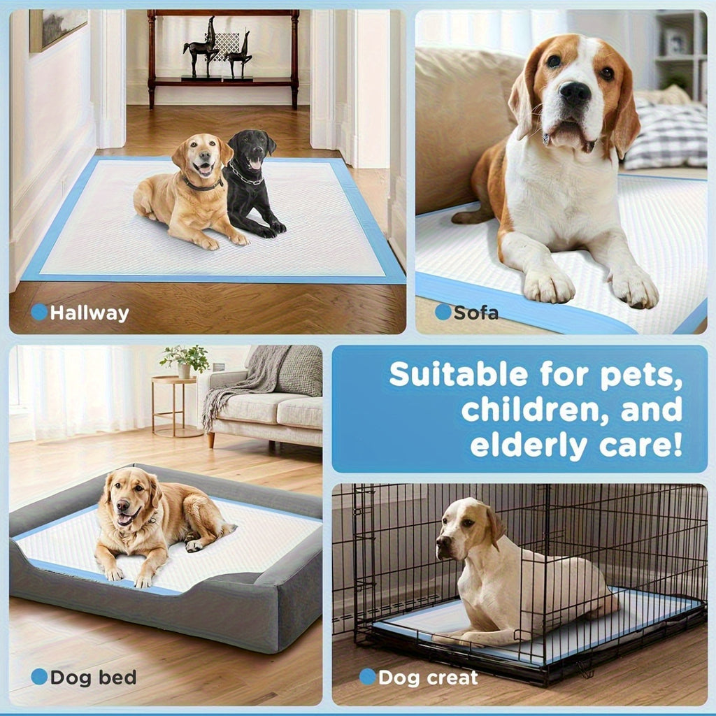 Dog Pee Pads with 12g Absorbent Polymer, 31 x 47 Inch 60 Count Six-Layer Disposable Puppy Potty Training Pads for Large Dogs and Indoor Floor Protection