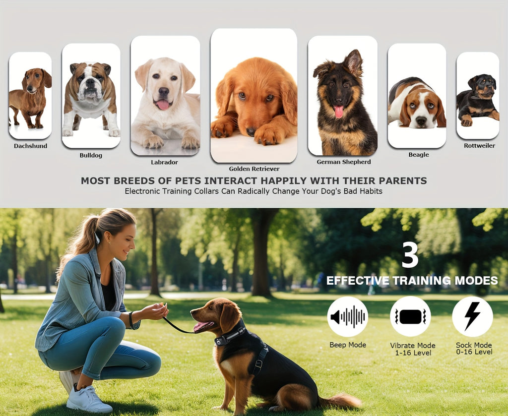 Multi-Dog Training Collar with Remote, Green Electronic Collar with 3 Training Modes and Icons for Medium and Large Dogs, 2 or 3 Dog Options