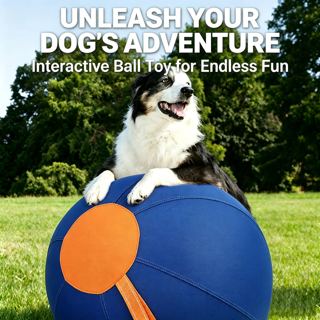 Inflatable Dog Herding Ball for Backyard Chase and Push Games, Battery-Free Interactive Pet Training Toy in Blue and Orange Options