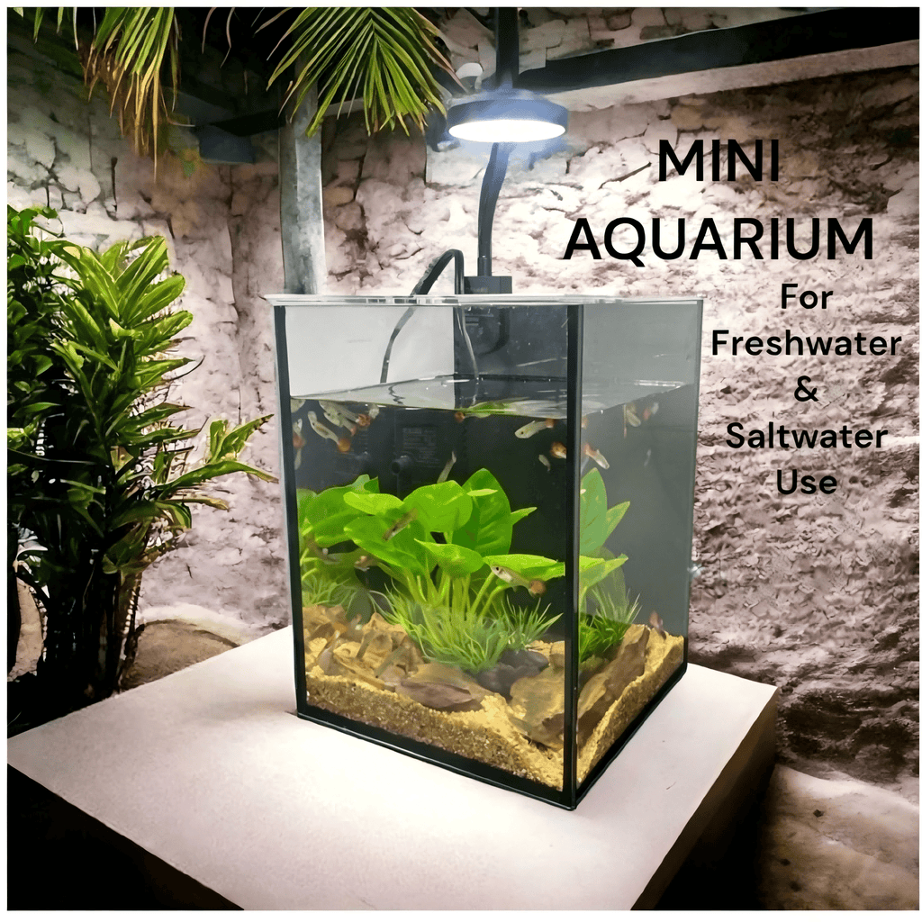 Mini Aquarium Kit 1.19 Gallon, Ultra-Clear Glass Desktop Tank with 2W Submersible Pump, 3W COB Light, Sand, Stones and Decorative Plants
