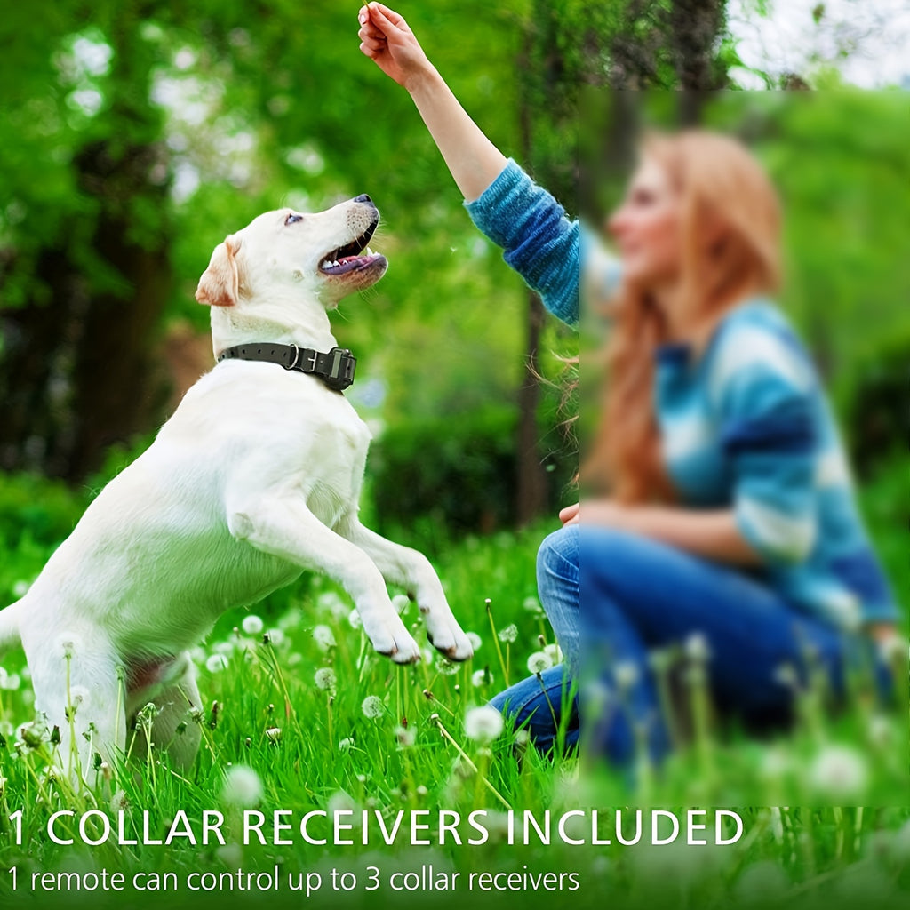 Dog Training Collar with Blue-Striped Nylon Strap, 2600ft Listed Remote Range, Sound, Vibration and Static Modes for Supervised Single-Dog Training
