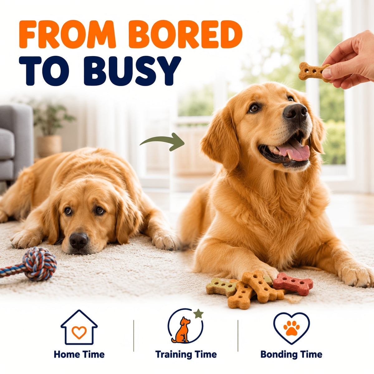 Beef Flavor Dog Biscuits, Crunchy Bone-Shaped Treats with Beef, Chicken and Egg Listed Flavors for Supervised Training Rewards and Everyday Snack Time