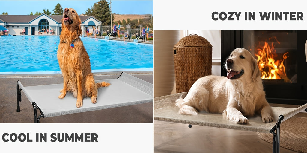 Elevated Dog Bed with Sloped Headrest, Breathable Raised Pet Cot in M to XXL Sizes for Indoor Lounging, Outdoor Rest and Camping