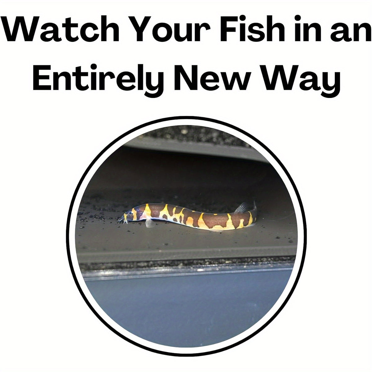 Aquarium Underground Tunnel Cave with Viewing Window, Curved Under Gravel Fish Hideout for Corydoras, Kuhli Loaches and Shrimp, Black or White
