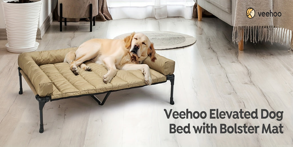 Elevated Dog Bed with Removable Pillow-Top Mat, Three-Sided Bolster Pet Cot with Breathable Teslin Mesh, Steel Frame and Non-Slip Feet in Four Sizes
