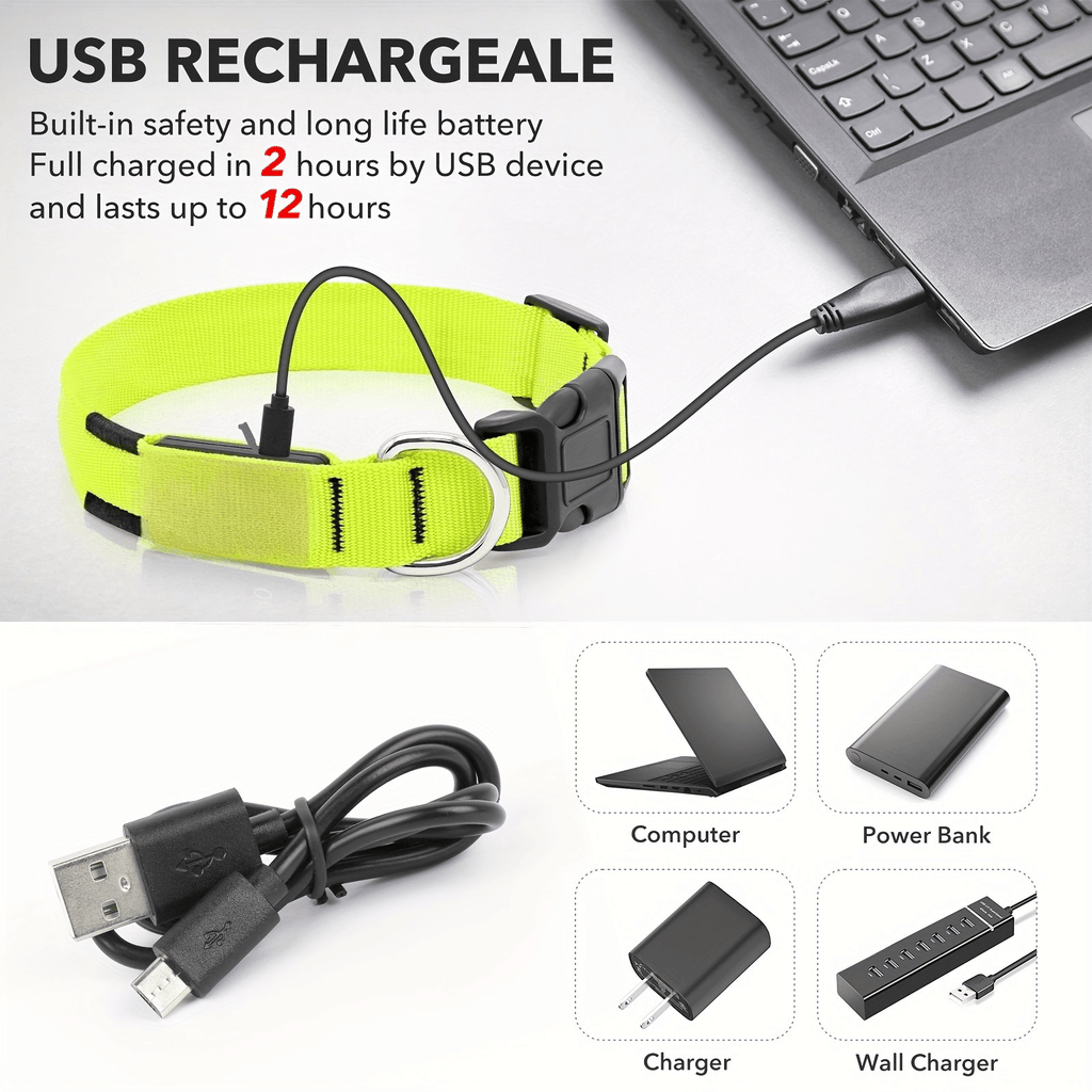 Light Up Dog Collar with 4 Bells, Micro USB Rechargeable LED Nylon Pet Collar with Adjustable Fit, Plastic Buckle and D-Ring for Night Walks