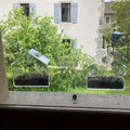 Window Bird Feeder with Removable Tray, Battery-Free Clear Acrylic Suction Cup Feeder for Outdoor Wild Bird Feeding and Close-Up Bird Watching at Home