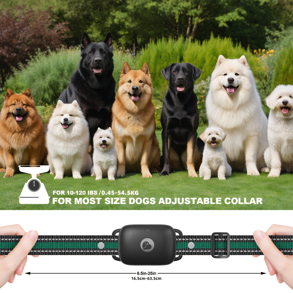 Dog Training Collar 1640ft with Remote, Black USB Rechargeable E Collar with Buzz, Vibration and Static Modes for Supervised Training, 1 to 3 Dog Options