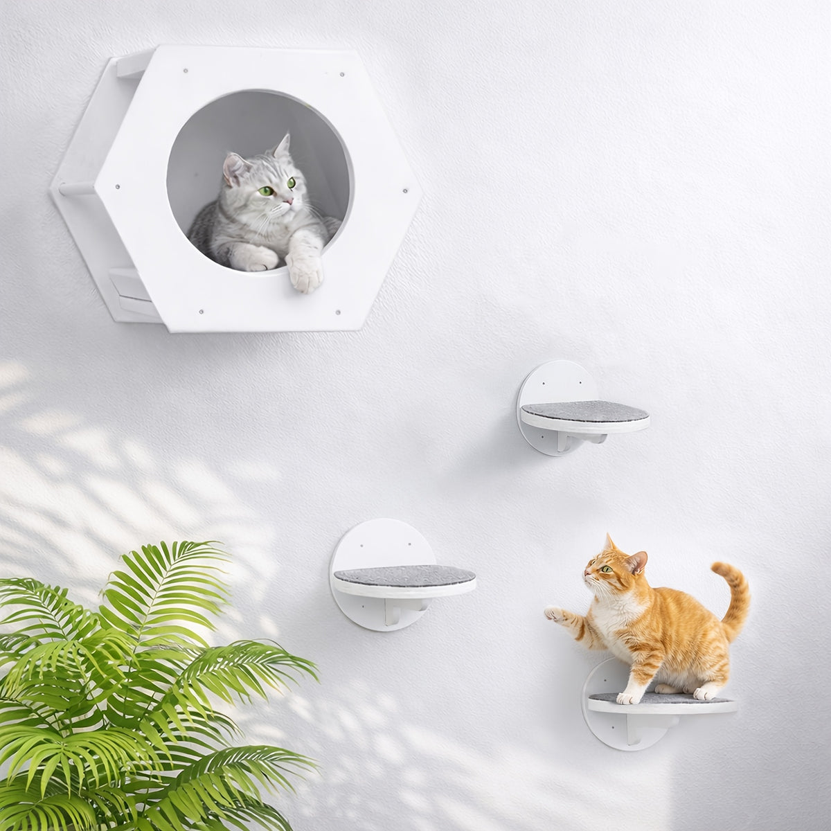 Cat Wall Shelves with Hexagon House, 4-Piece Wooden Climbing Furniture Set with 3 Steps and Scratching Post for Small and Medium Indoor Cats up to 20 lbs