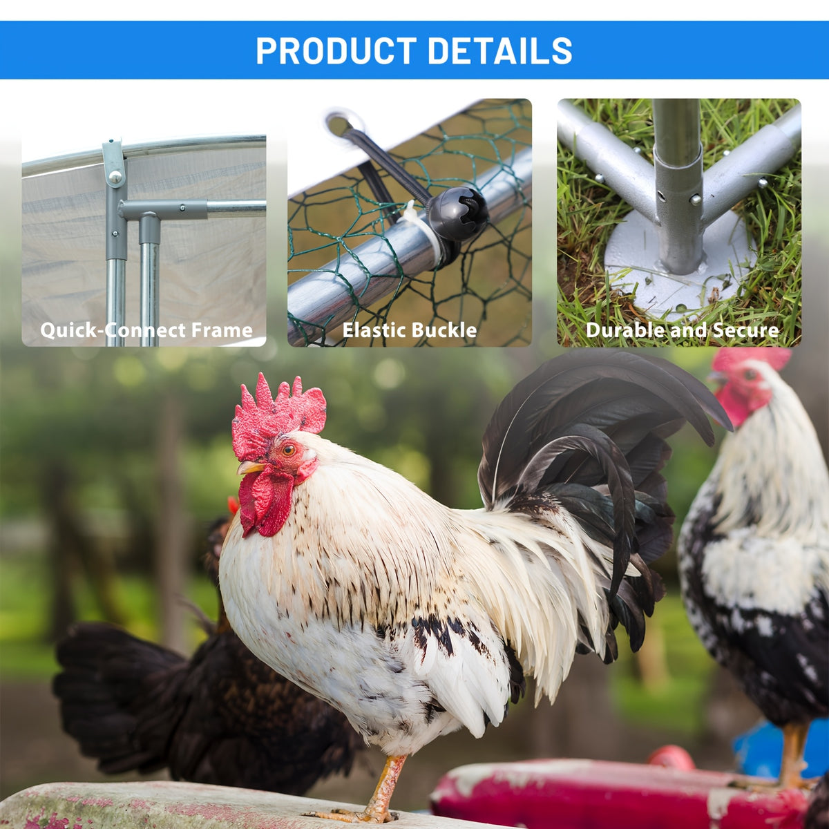 Spire Roof Chicken Coop Run with Metal Frame and Covered Section, Walk-In Outdoor Poultry Enclosure for Backyard Chickens and Ducks, Two Size Options