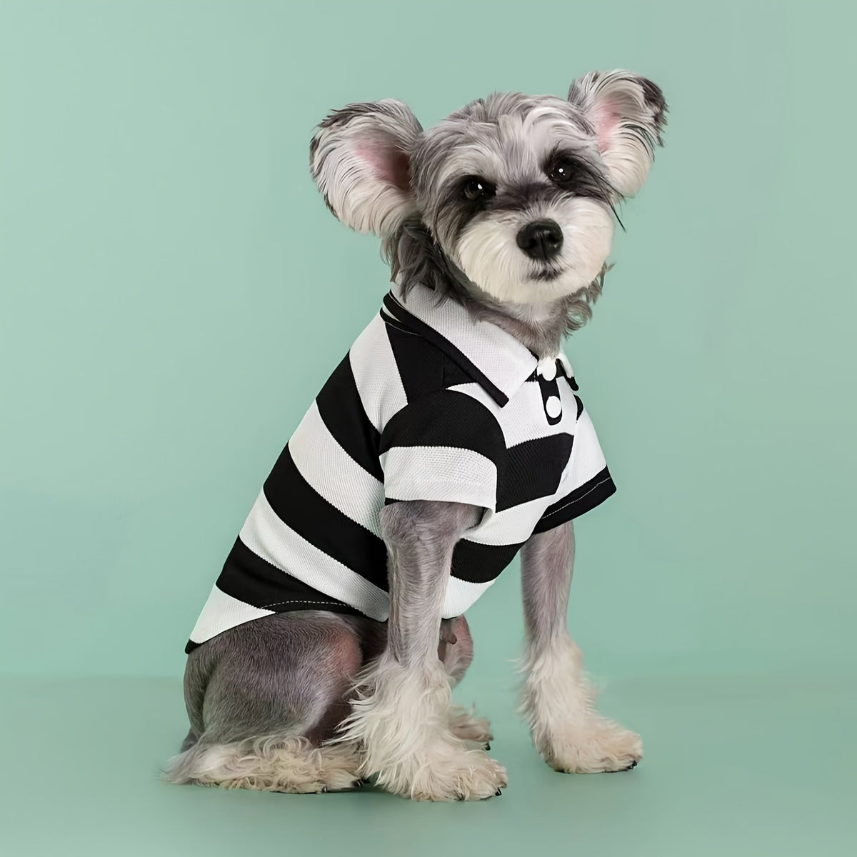Dog Polo Shirts 5-Piece Striped Pet Clothing Set for Small Dogs and Cats, Red Option in XS to 4XL for Everyday Dress-Up and Puppy Photos