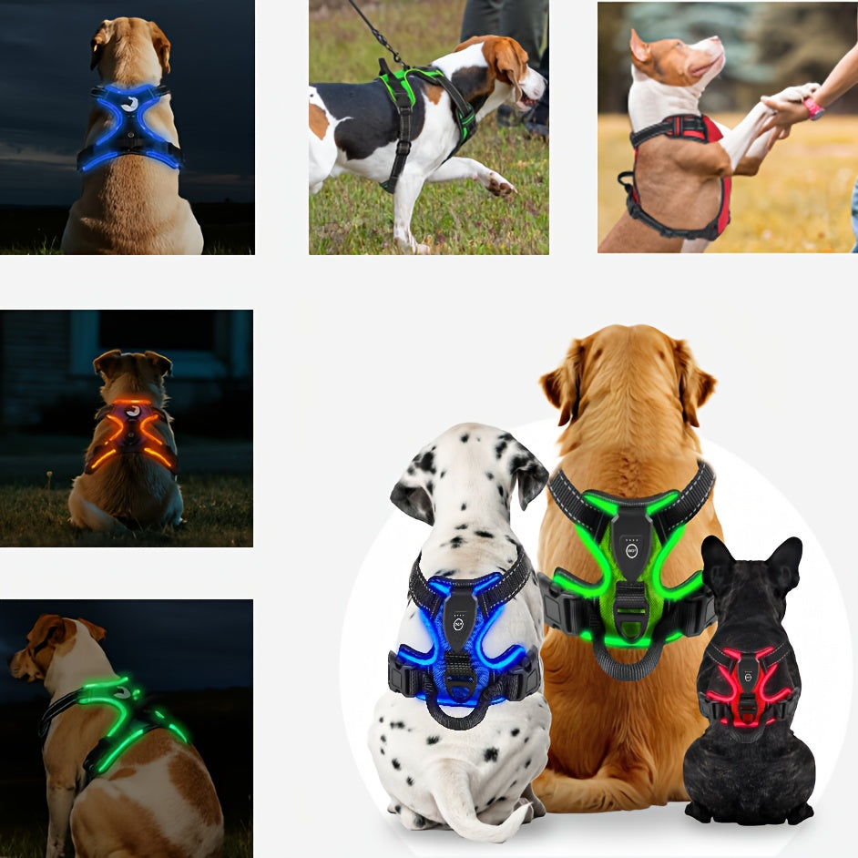 Light Up Dog Harness, Rechargeable LED Night Walking Vest with 3 Lighting Modes, Reflective Strips, Padded Mesh and Adjustable Straps, M L XL