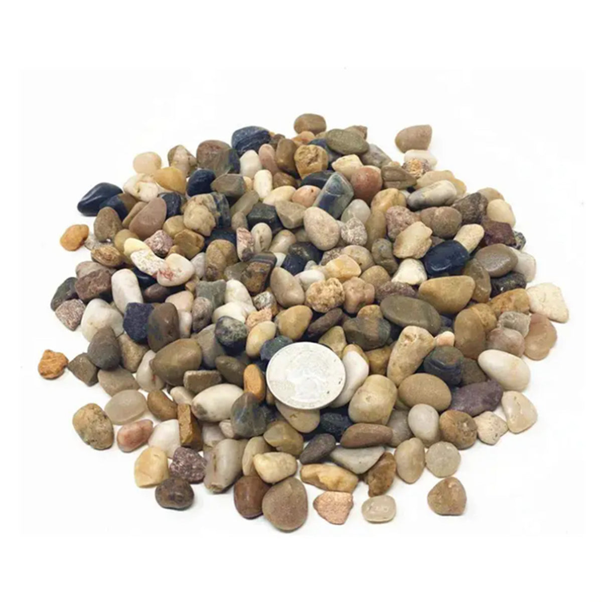 Small River Rocks, 10 lb in 10 Bags, 1/2-Inch Natural Decorative Pebbles for Aquarium Layouts, Plant Pots, Vase Fillers and Landscaping