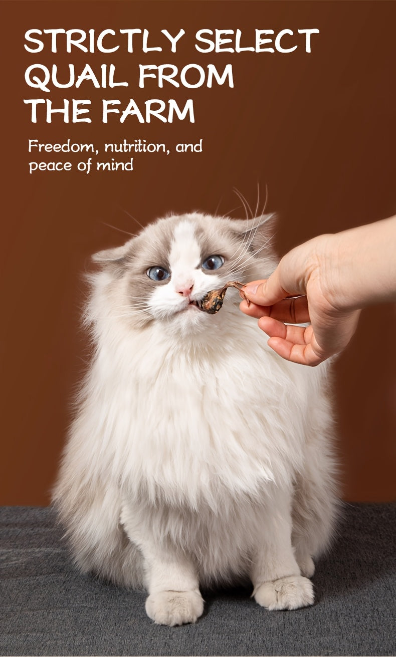 Freeze Dried Quail Cat Treats, Crunchy Single-Ingredient Pet Snacks for Cats and Dogs, Bite-Size Morsels for Supervised Treat Time and Training Rewards