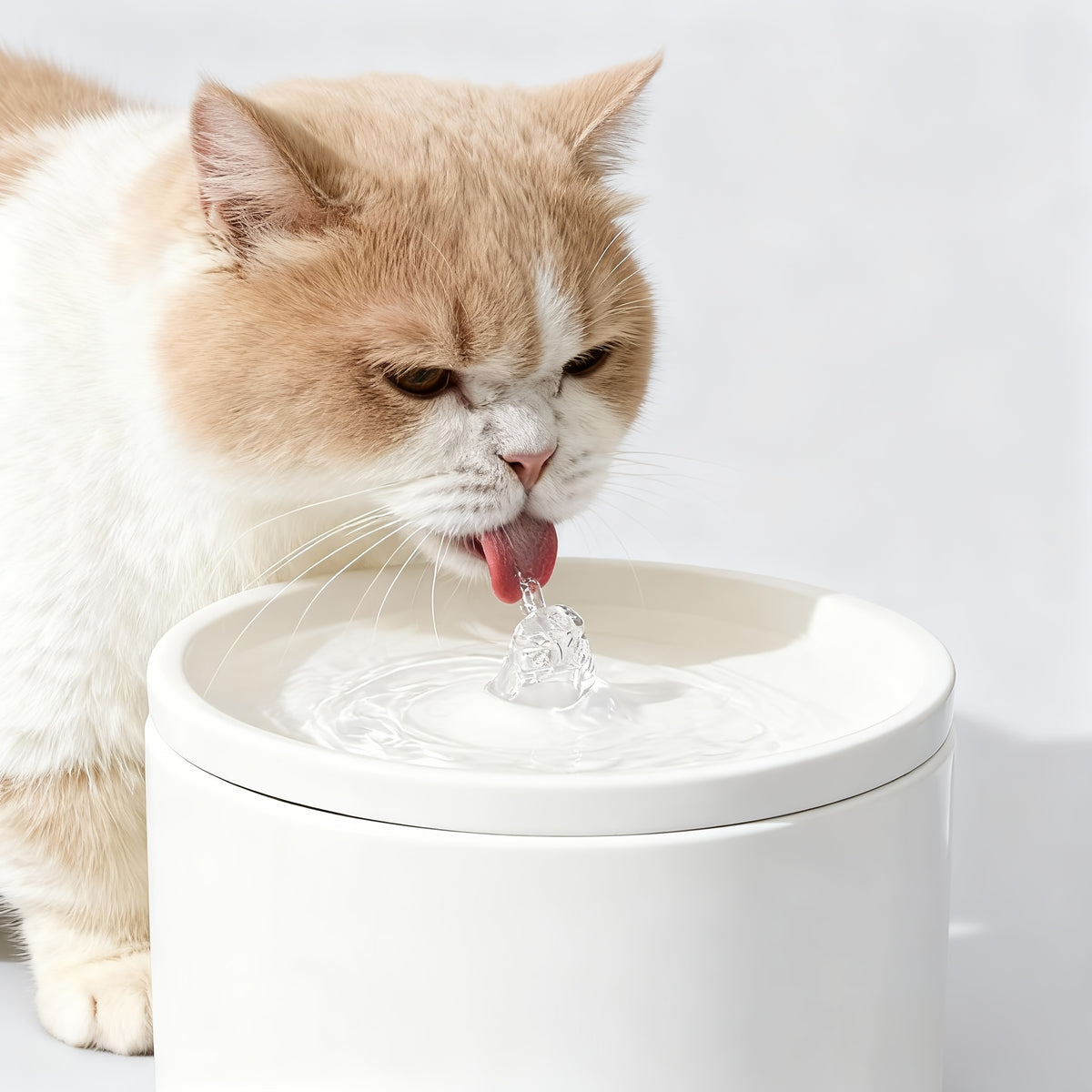 Ceramic Cat Water Fountain 1L, Quiet Automatic Indoor Pet Drinking Dispenser in Black or White for Cats and Dogs, Filters Sold Separately