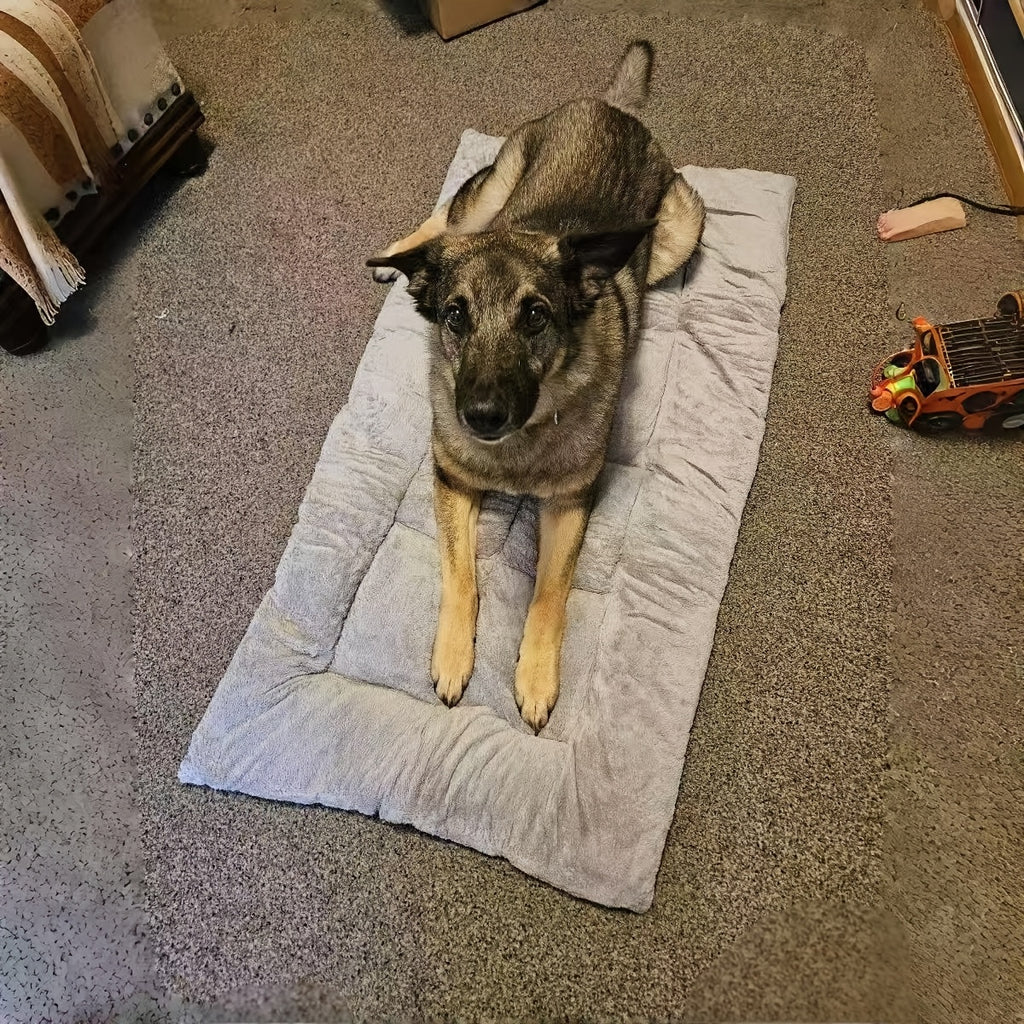 Plush Dog Pad in Gray, Soft Pet Resting Mat with Mini, Large, XLarge and XXL Options up to 70.87 x 35.43 Inches for Cozy Everyday Home Lounging