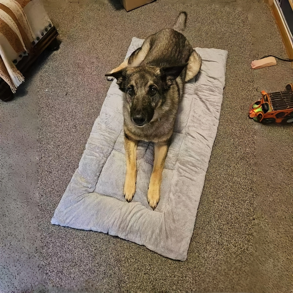 Plush Dog Pad in Gray, Soft Pet Resting Mat with Mini, Large, XLarge and XXL Options up to 70.87 x 35.43 Inches for Cozy Everyday Home Lounging