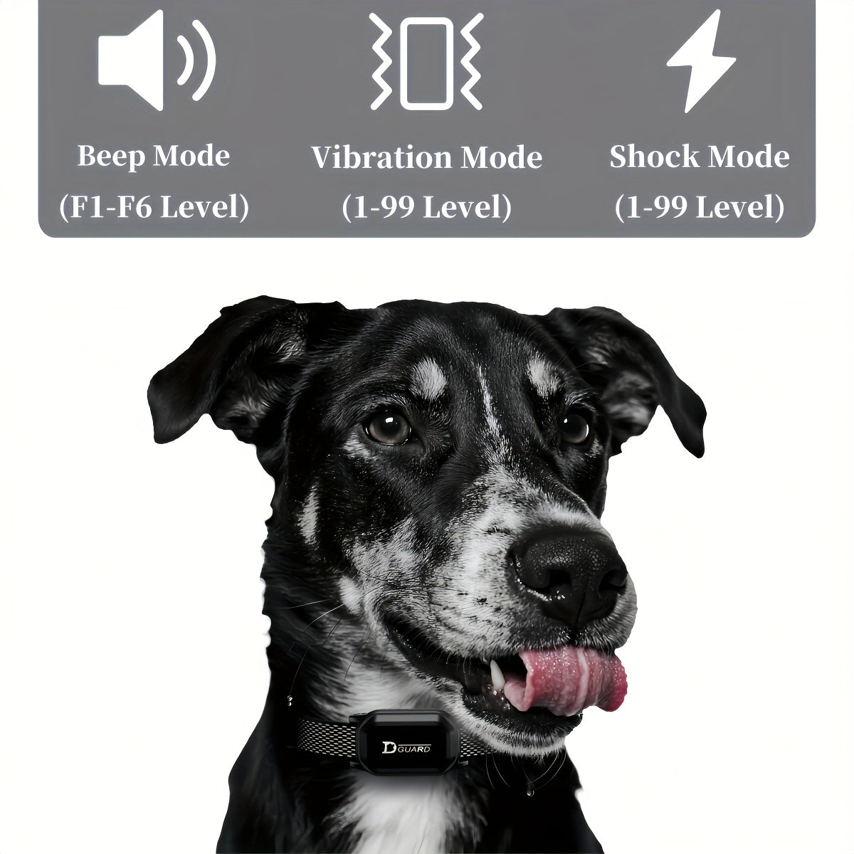 Dog Training Collar D80 with Remote Control, Rechargeable Black Adjustable Nylon Collar with Listed Beep and Vibration Modes for Supervised Single-Dog Sessions