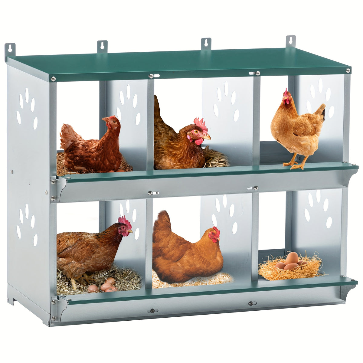 Galvanized Steel Chicken Nesting Box with Ventilation Holes, Green Model 0206 Hen Nest with Removable Divider and Nest Pad for Backyard Coops