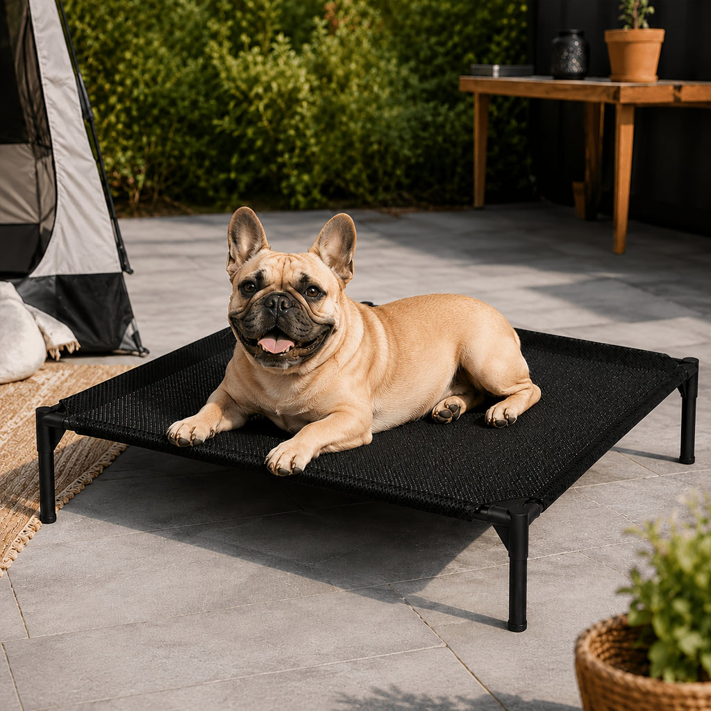 Elevated Dog Cot with Breathable Mesh, 19cm Raised Pet Bed with Metal Frame and Non-Slip Feet for Indoor, Patio and Camping Rest