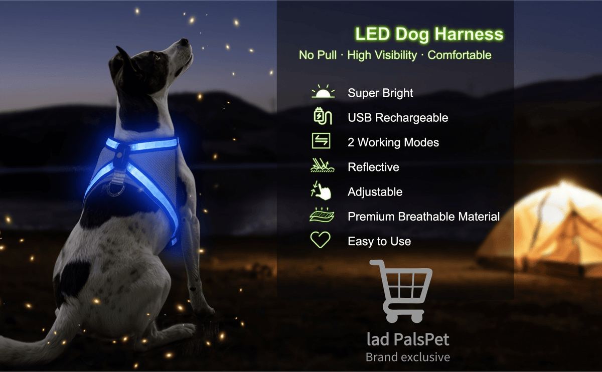 LED Dog Vest with 8 Lighting Modes, Rechargeable Mesh Light Up Walking Vest with Reflective Design and Changeable Color, XS to L