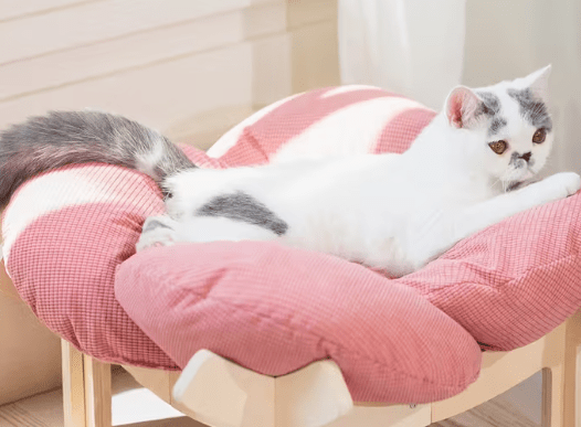 Raised Wooden Cat Bed with Sky Blue Cushion, Solid Wood High-Leg Pet Sofa for Cats and Small Dogs, Includes Assembly Hardware and Tools