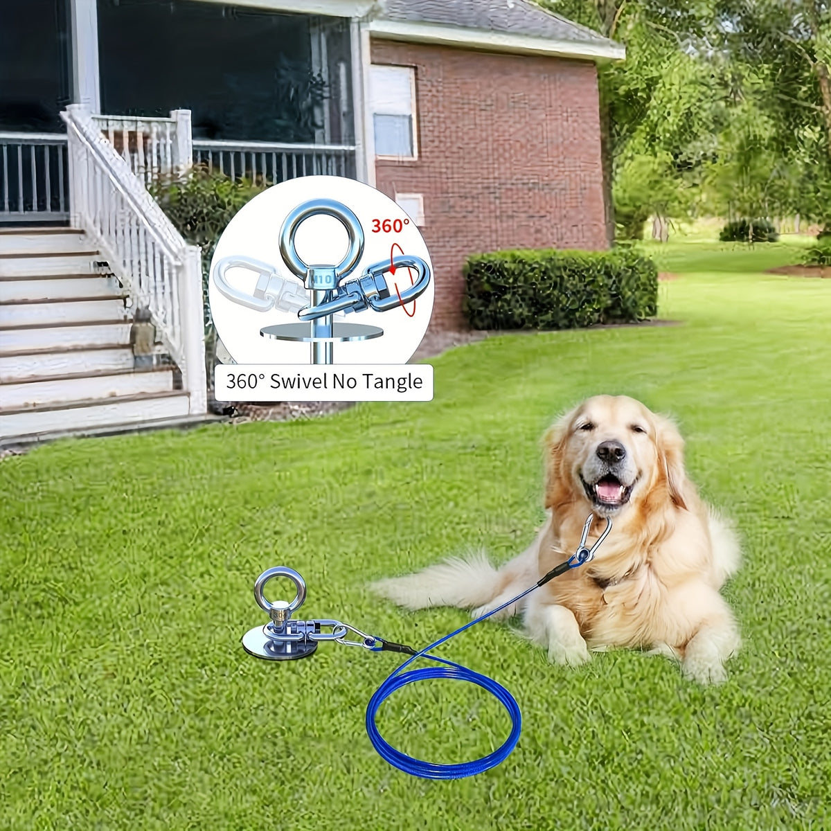 Dog Tie Out Stake in 304 Stainless Steel, 360° Swivel Ground Anchor for Supervised Yard and Camping Use with 15ft, 25ft or Pouch Options