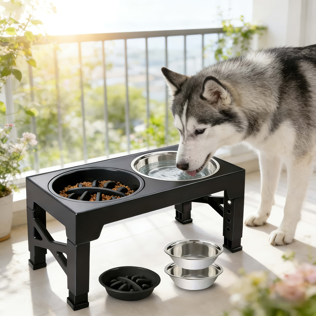 5-Height Dog Bowl Set with Foldable Adjustable Stand, Slow Feeder and Stainless Steel Bowl for Medium and Large Dogs, Black or Pink