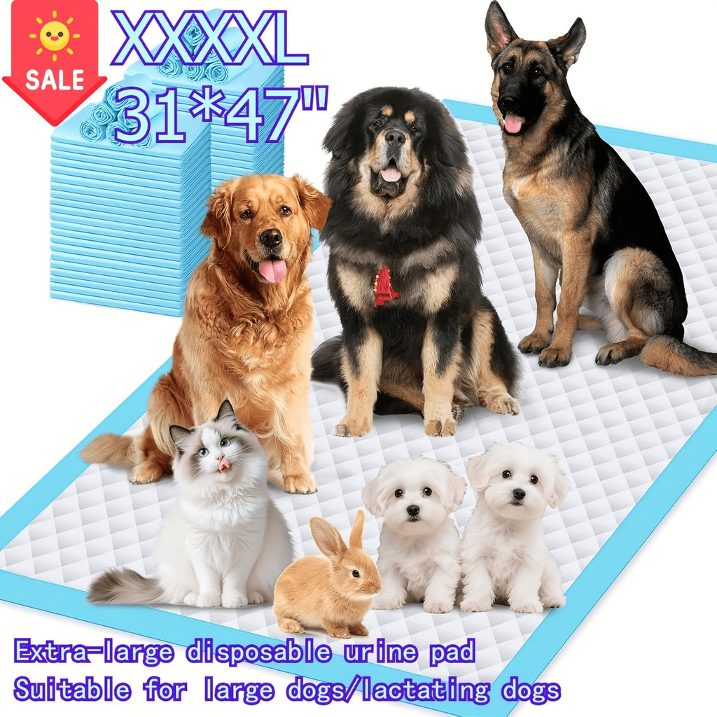 Dog Pee Pads with 12g Absorbent Polymer, 31 x 47 Inch 60 Count Six-Layer Disposable Puppy Potty Training Pads for Large Dogs and Indoor Floor Protection