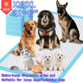 Dog Pee Pads with 12g Absorbent Polymer, 31 x 47 Inch 60 Count Six-Layer Disposable Puppy Potty Training Pads for Large Dogs and Indoor Floor Protection