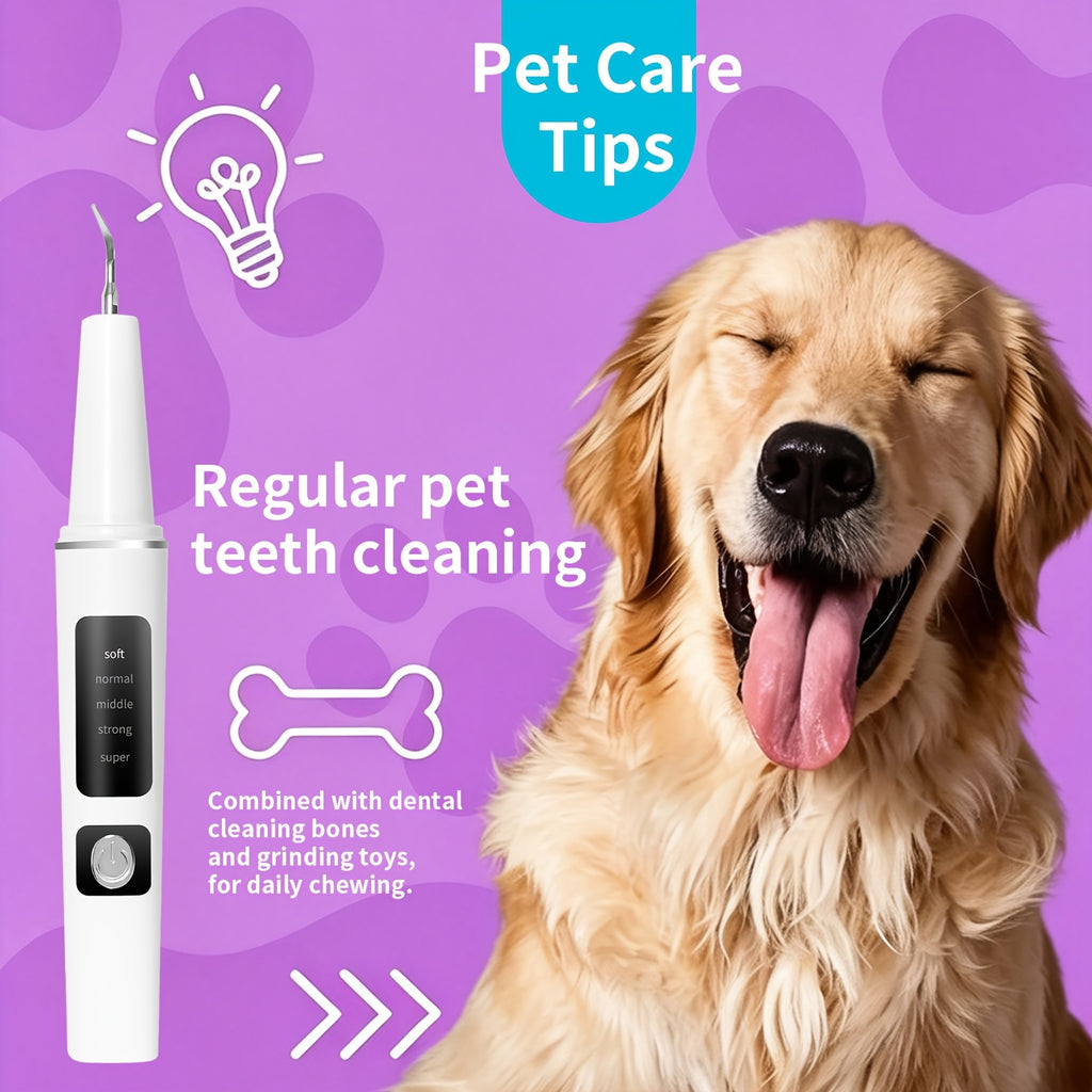 Pet Teeth Cleaning Kit for Cats and Dogs, USB Rechargeable Electric Tooth Cleaner with 4 Cleaning Heads and 5 Modes, Stain and Tartar Remover for At-Home Pet Dental Care, Quiet Low Noise Design