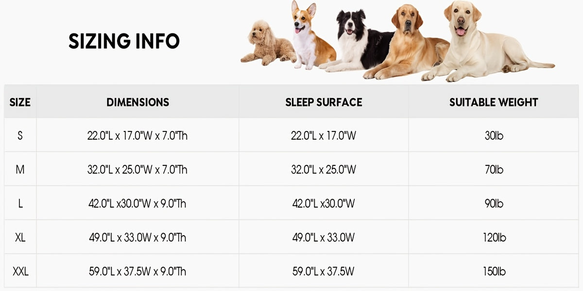Elevated Dog Bed 2 Pack for Large Dogs, 42 x 30 Inch Breathable Mesh Raised Cots with Non-Slip Feet, Tool-Free Assembly for Indoor, Patio and Camping