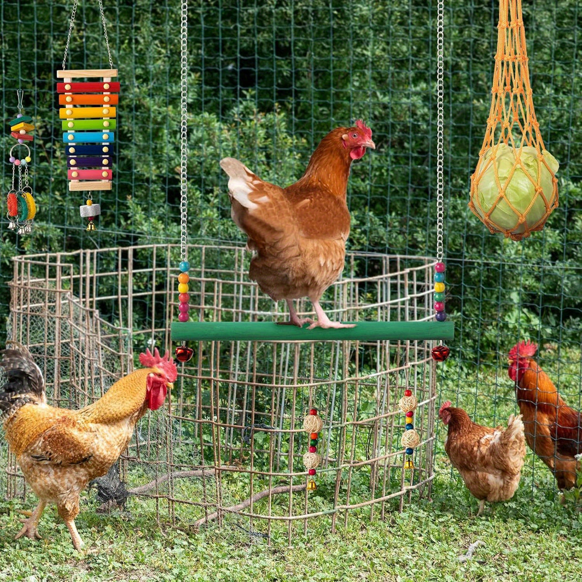 Chicken Coop Toy Set in 5 or 9 Piece Options, Hanging Poultry Enrichment Accessories for Backyard Hens, Coop Activity and Chicken Keeper Gifts