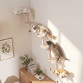 Modular Cat Wall Shelves 6-Piece Set with 5 Toy Balls, DIY Wall-Mounted Cat Tree Furniture for Indoor Climbing, Resting and Scratching