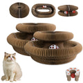 Cat Scratcher Ball Toy 2-Pack, Magic Organ Scratching Board for Indoor Cats, Battery-Free Interactive Play and Everyday Enrichment