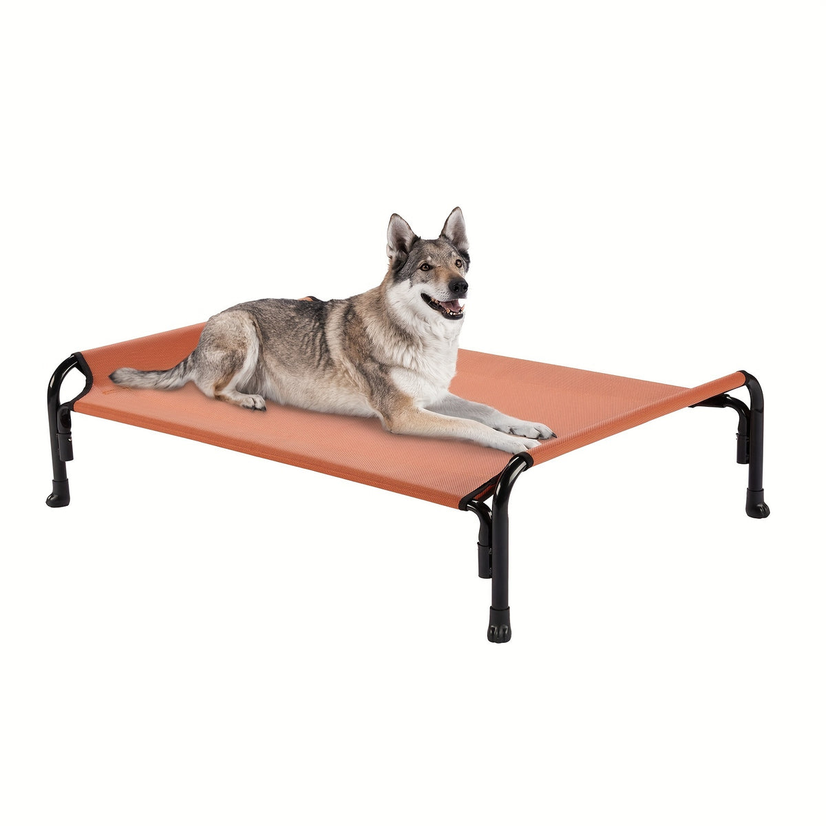 Elevated Dog Bed with Sloped Headrest, Breathable Raised Pet Cot in M to XXL Sizes for Indoor Lounging, Outdoor Rest and Camping
