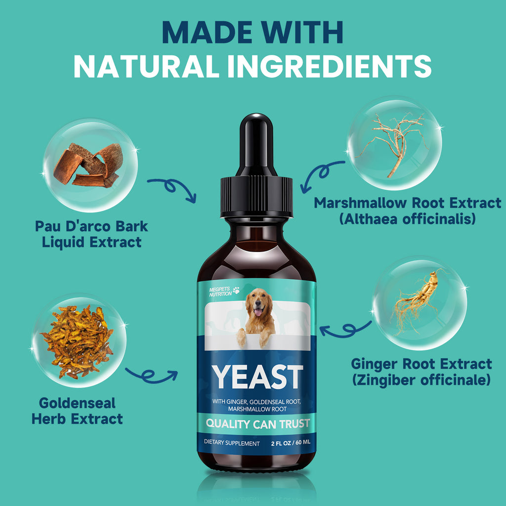 Pet Supplement Kit with 2 fl oz Health Drops and 90 Probiotic Chews, Two-Part Dog and Cat Supplement Bundle for Owner-Managed Wellness Routines