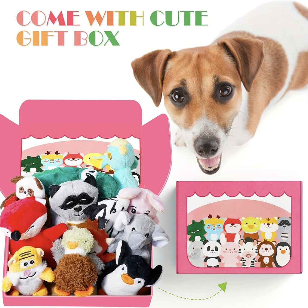 Squeaky Dog Toy Gift Set 12 Pack, Soft Stuffed Animal Puppy Toys with Storage Box for Small and Medium Dogs, Gentle Chewing and Supervised Fetch
