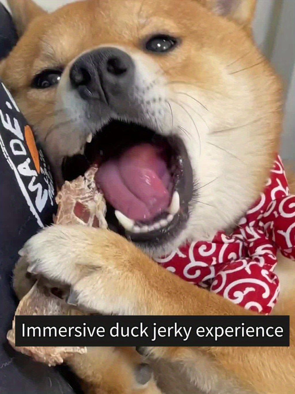 Assorted Dog Reward Treats, Chicken and Duck Combo, Yolk Wrap and Bone Bites Options for Supervised Training, Daily Snacks and Dog Gift Baskets