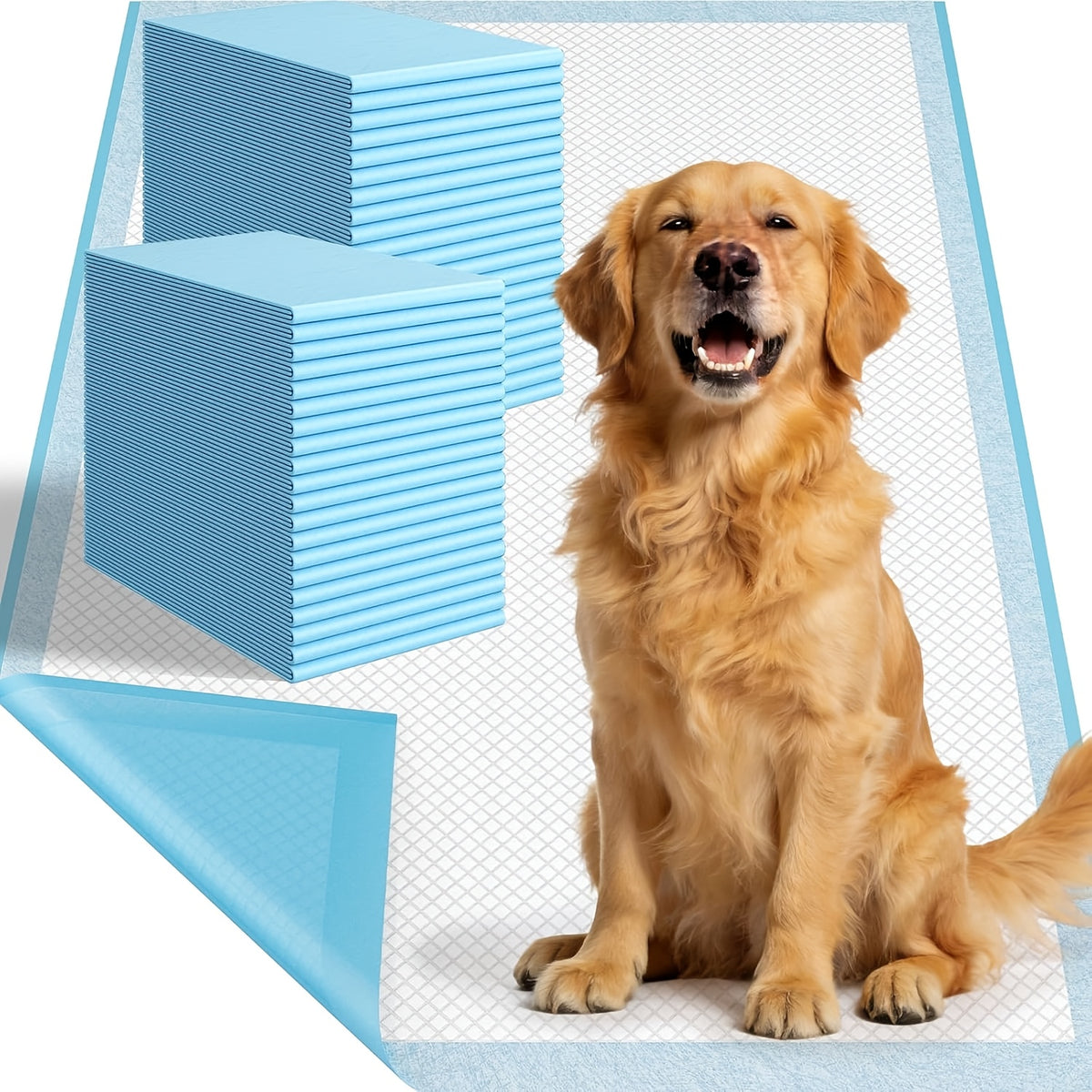 Dog Pee Pads XXXL 31x47/32x36/57x31 Inch, Disposable Dog Urine Pads 8-Layer Thickened Highly Absorbent Leak-Proof, Oversized Puppy Training Pads for Cars Cages Sofas, 60 Count
