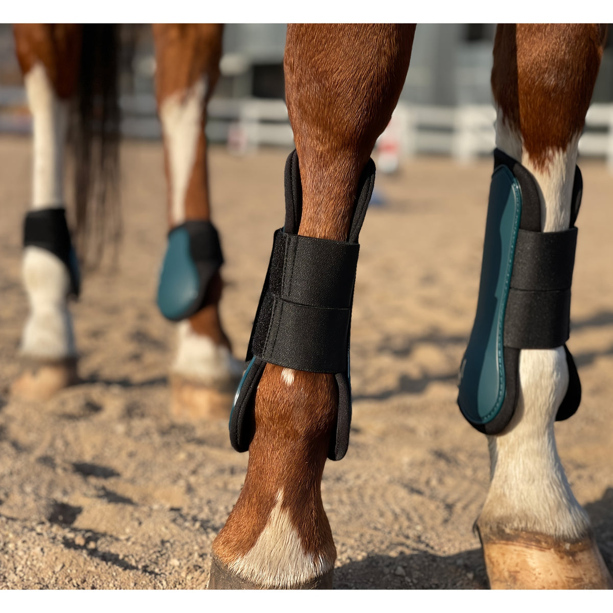 Horse Tendon Boots Set of 4, Open Front and Fetlock Leg Guards in PU and Neoprene for Riding, Jumping and Training, FULL and COB Size Options