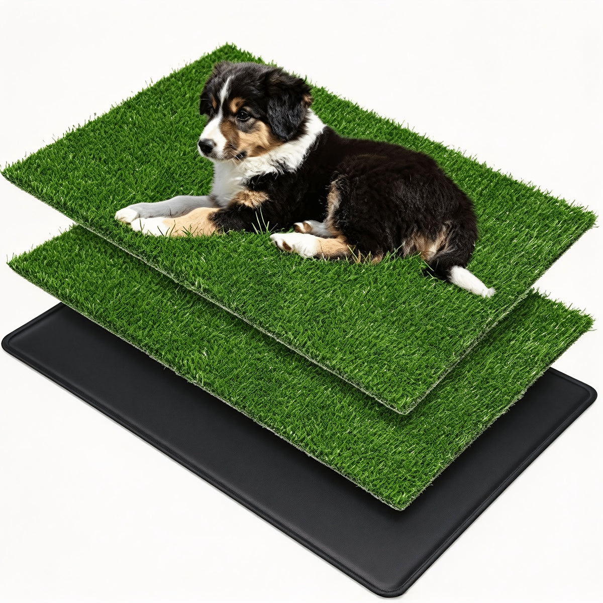 Artificial Grass Dog Potty with Tray and 2 Replacement Grass Pads, Washable Puppy Training Toilet in Three Sizes for Apartments, Balconies and RVs