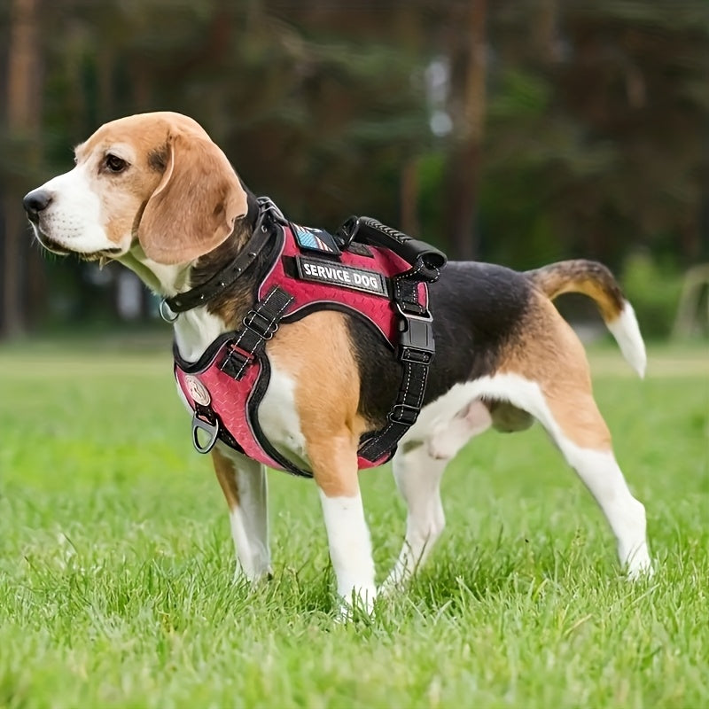 Dog Harness Walking Kit with Reflective No-Pull Adjustable Harness, Leash, Water Bowl and Two Bag Holders, 5-Piece Set for Small Medium and Large Dogs