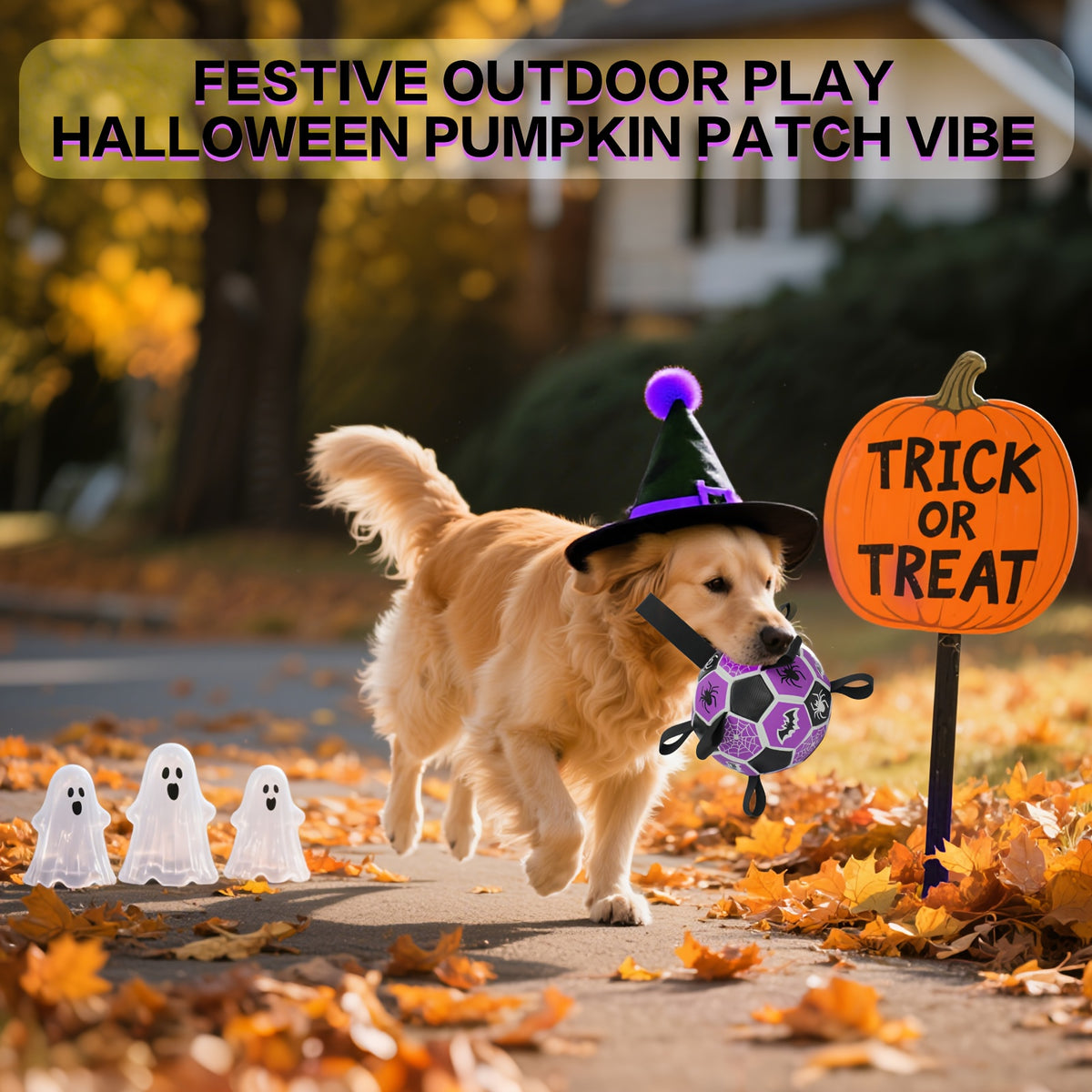 Dog Ball with Halloween Bat and Spider Web Design, Purple Black Fetch Toy with Strap and Inflator, 6 or 7.25 Inch for Supervised Interactive Play