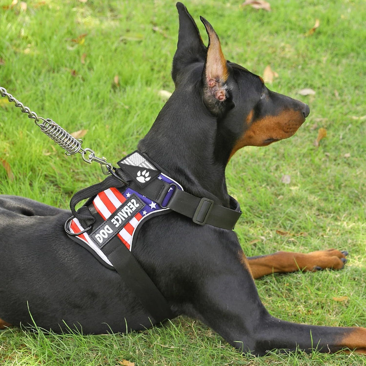 Dog Harness Patch Kit with 5 Patches, Reflective Adjustable Oxford Walking Vest with Mesh Lining, Padded Handle and Three Leash Rings, XS to XL