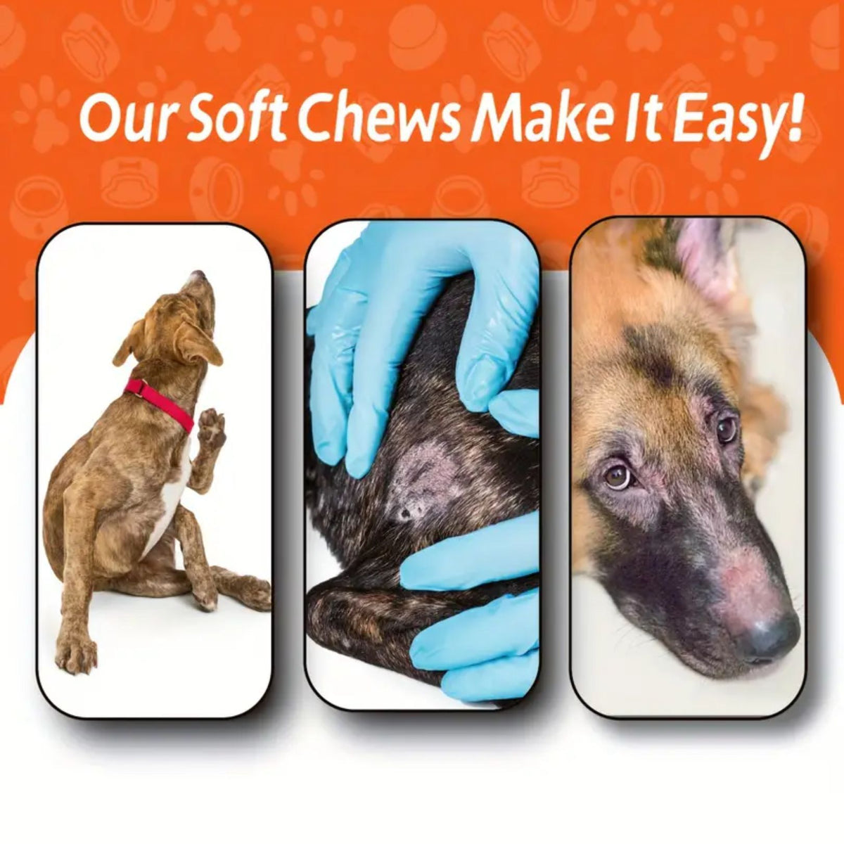 Salmon Oil Soft Chews for Dogs and Cats, 120 Count Omega-3 Fish Oil Supplement for Skin and Coat Care, Salmon Flavor Pet Chews, 300g