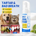 Pet Dental Foam for Dogs and Cats, Honeysuckle, Glycerin and Mint Oral Care Formula for Owner-Managed Teeth Cleaning and Fresh Breath Routines, 1 Piece