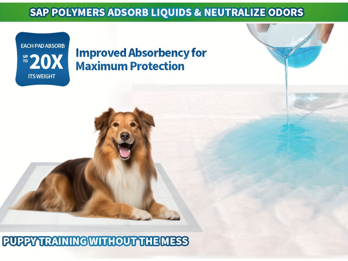 Puppy Housebreaking Pads with Odor Control, Disposable Absorbent Dog Pee Pads in 240 Count 22 x 22 Inch or 100 Count 30 x 36 Inch Options