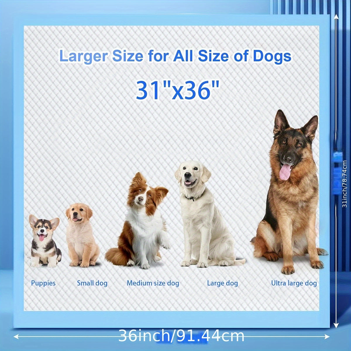 Dog Pee Pads XXXL 31x47/32x36/57x31 Inch, Disposable Dog Urine Pads 8-Layer Thickened Highly Absorbent Leak-Proof, Oversized Puppy Training Pads for Cars Cages Sofas, 60 Count