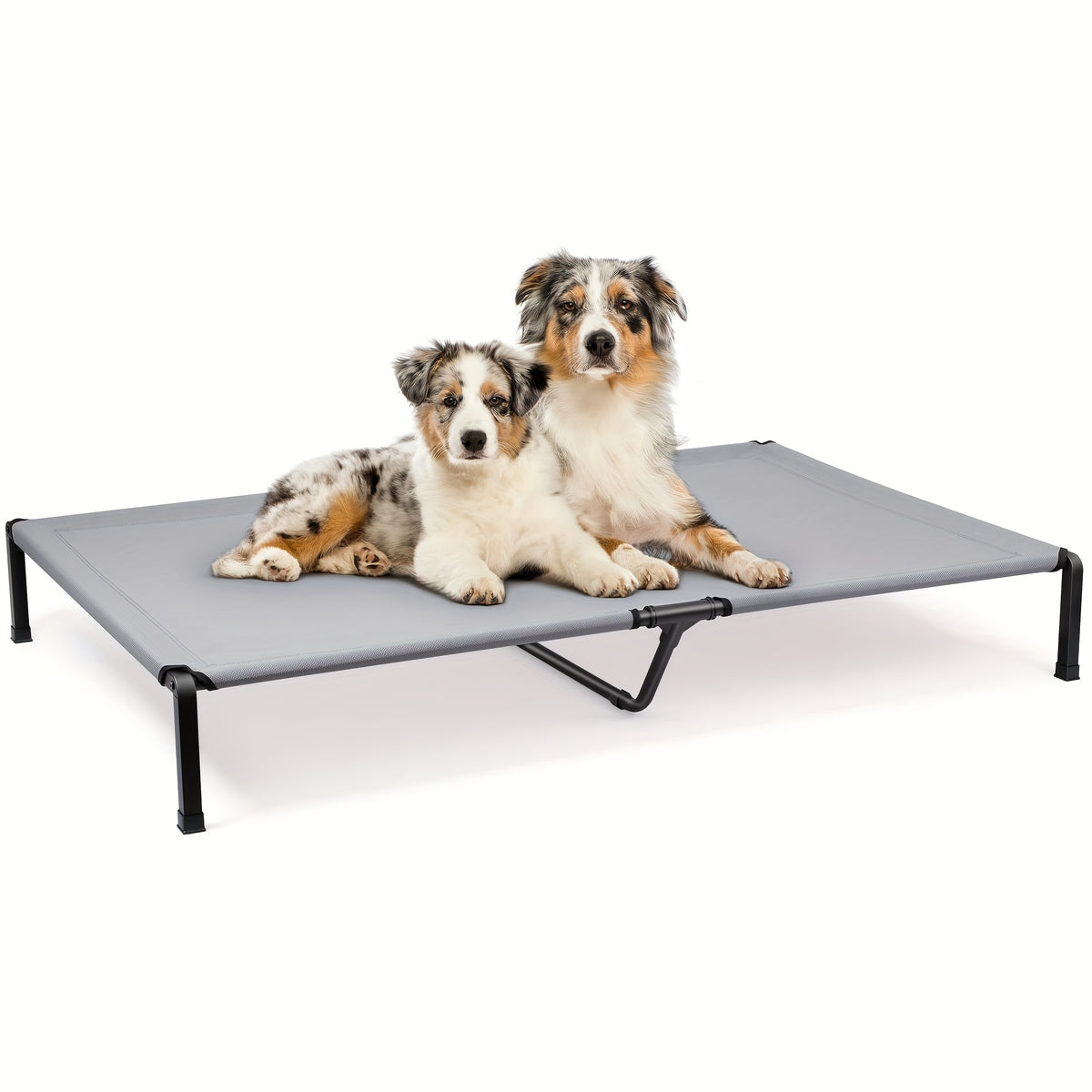 Outdoor Dog Cot with Textilene Mesh, Elevated Pet Bed in 26, 42 and 60 Inch Sizes with Iron Frame and Non-Slip Feet for Patio and Camping